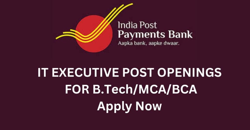 ippb it executive,