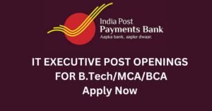 ippb it executive,